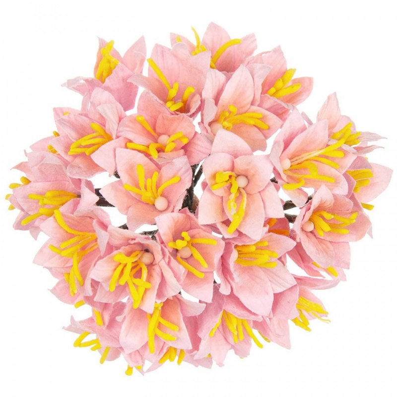Papírové květiny jsou vyrobeny z kvalitního mulberry papíru. Tyto úžasné kvítky s drátěnými nožičkami lze použít jako ozdoby pro scrapbooking a 