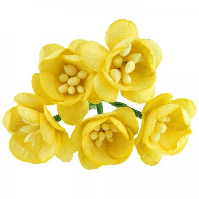 Papírový květ třešeň, 25 mm, žlutá 5 ks