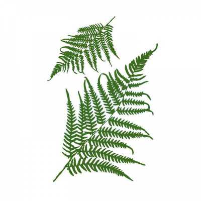 Šablona, Stamper, 21 x 29,7 cm, Fern Leaves