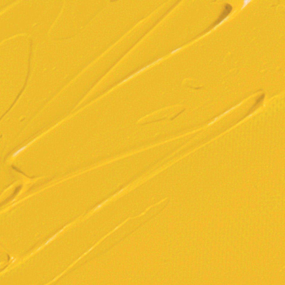 Studio XL 37 ml, 49 Aureoline