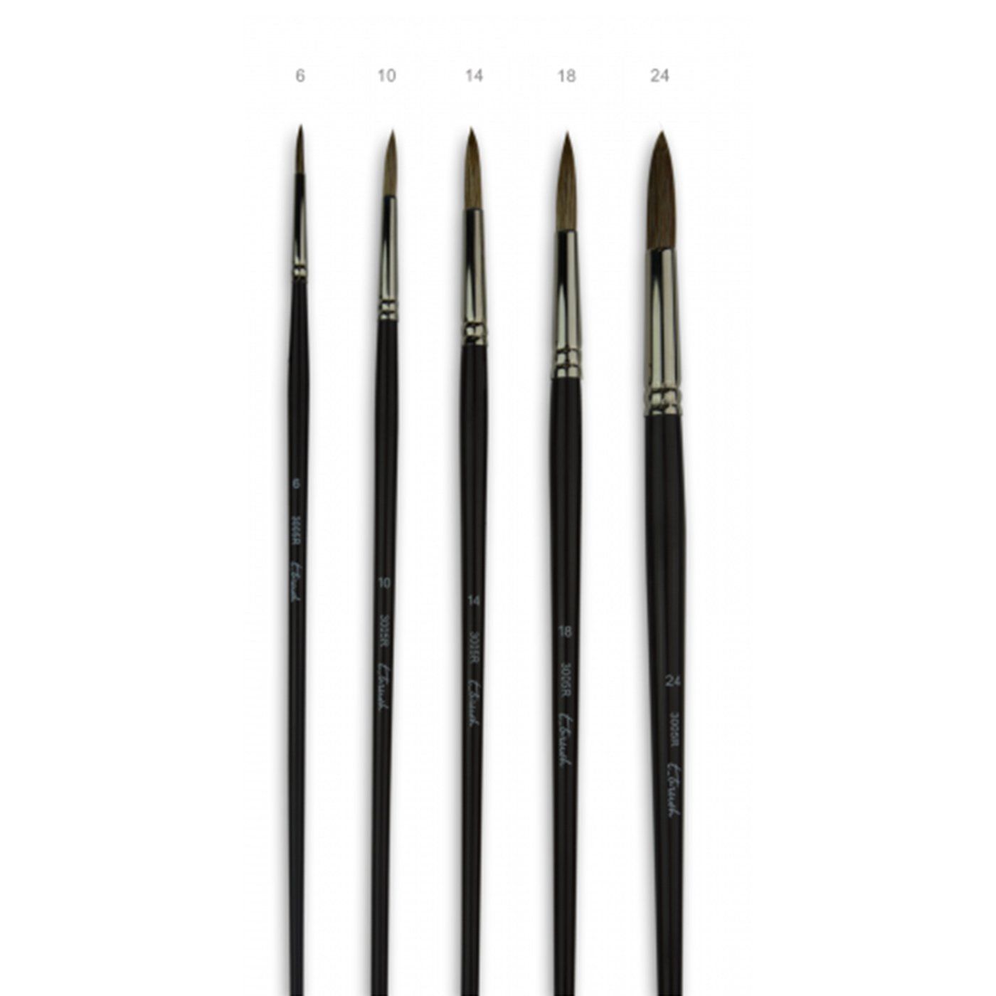 Štětec t-brush 3005R, vůl - ucho, kulatý n ° 24