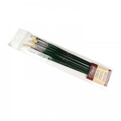 Sada štětců t-brush, sada přírodních štětců  BS06
